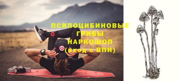 ГАЛЛЮЦИНОГЕННЫЕ ГРИБЫ Алзамай