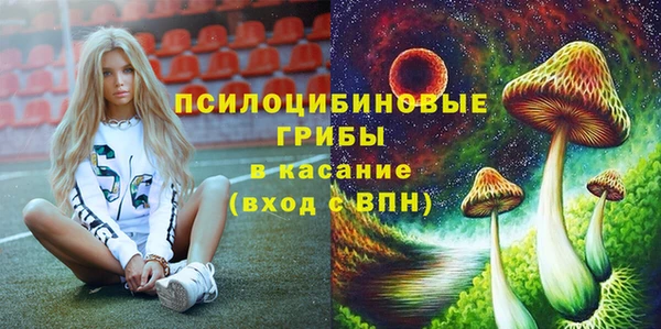 apvp Абинск