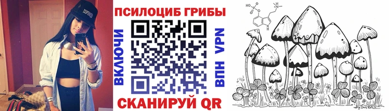 Галлюциногенные грибы Psilocybine cubensis  KRAKEN ТОР  Шарыпово 
