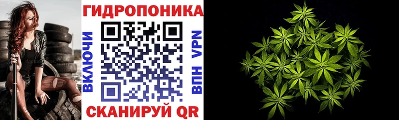 Марихуана семена хочу Шарыпово